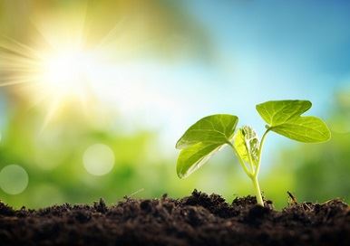 Pourquoi la nature nous fait du bien ?