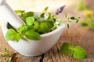 La phytothérapie, un remède à tous les maux ?
