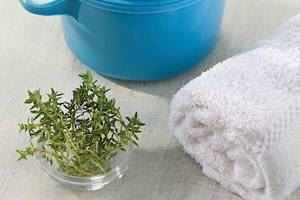 5 bienfaits du thym