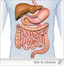 maladie_crohn_pm