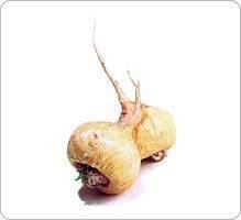 Maca