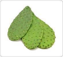 Nopal