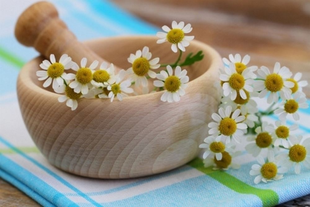 10 plantes pour soulager le mal de tête