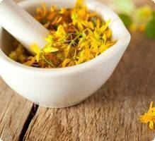 Millepertuis et les bienfaits de l'Hypericum Perforatum